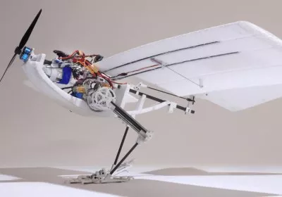 drones raven epfl flight birds